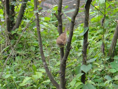 DSC03075.JPG DSC03075.JPG