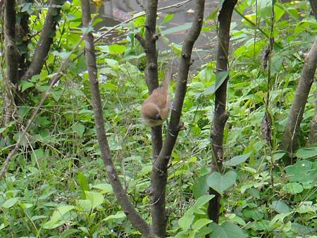 DSC03076.JPG DSC03076.JPG