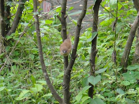 DSC03078.JPG DSC03078.JPG