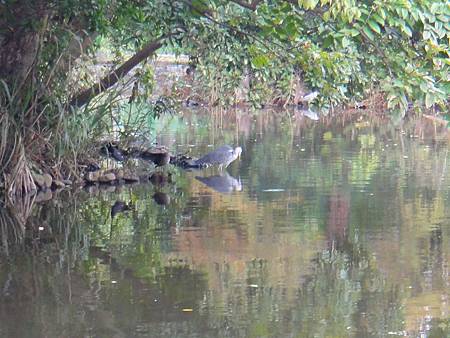 DSC03079.JPG DSC03079.JPG