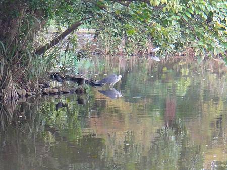 DSC03080.JPG DSC03080.JPG