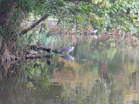 DSC03081.JPG DSC03081.JPG