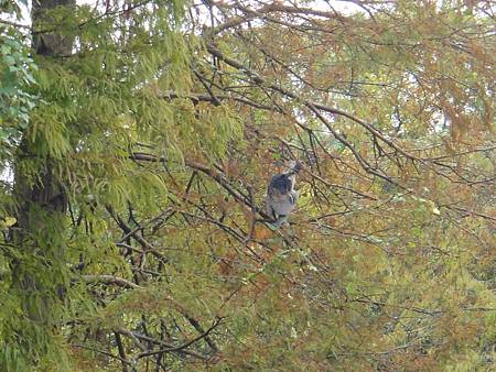 DSC03090.JPG DSC03090.JPG