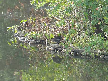 DSC03095.JPG DSC03095.JPG