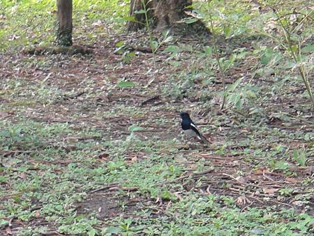 DSC03097.JPG DSC03097.JPG