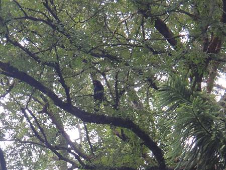 DSC03103.JPG DSC03103.JPG