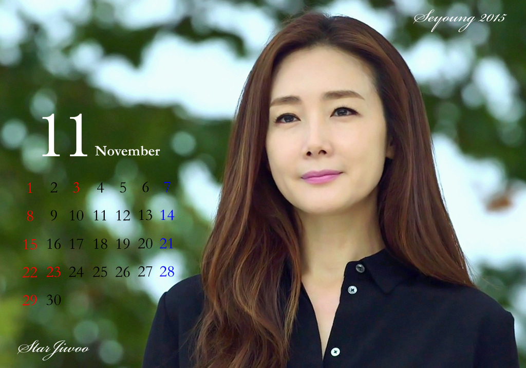 Seyoung Calendar 2015-11