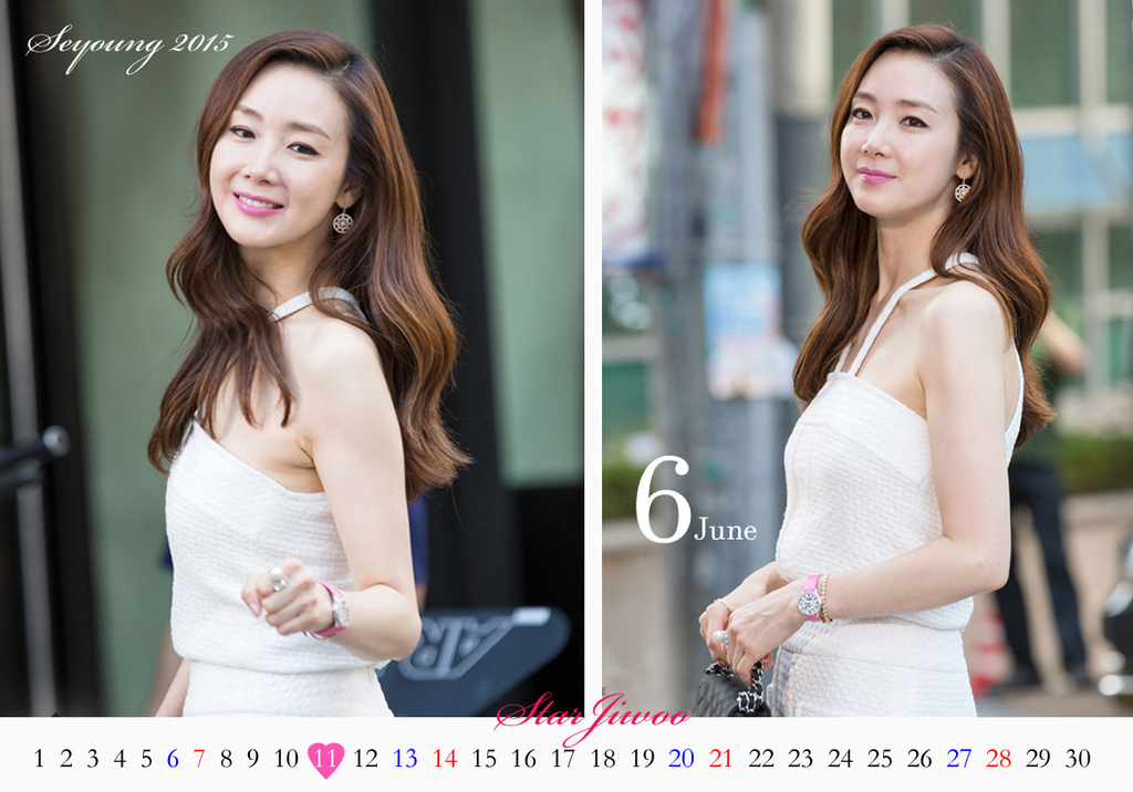 Seyoung Calendar 2015-6