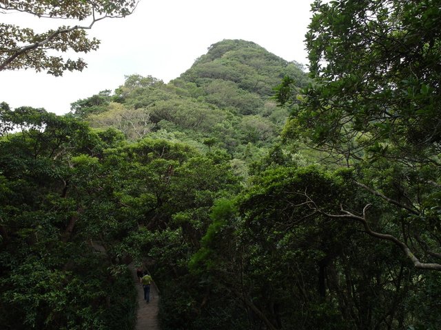 鷹嘴峰、尖山 (103).JPG