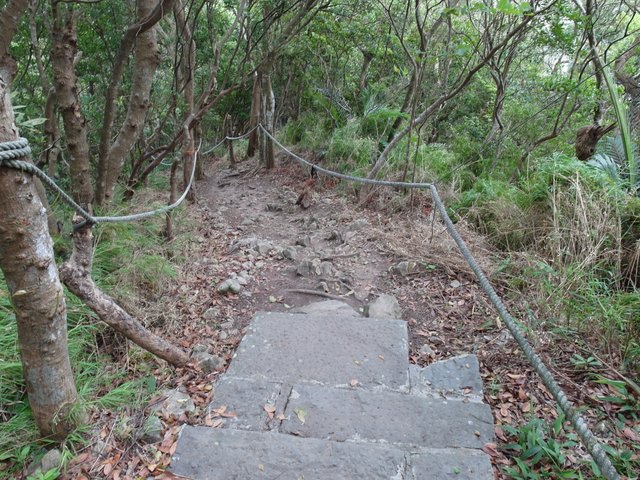 鷹嘴峰、尖山 (122).JPG