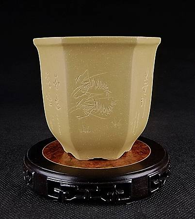 料01 料01