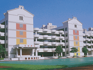 大樓 大樓