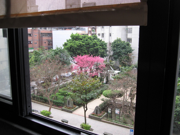 Sakura 2010_1.jpg Sakura 2010_1.jpg