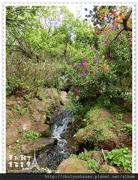 CIMG0445.JPG CIMG0445.JPG