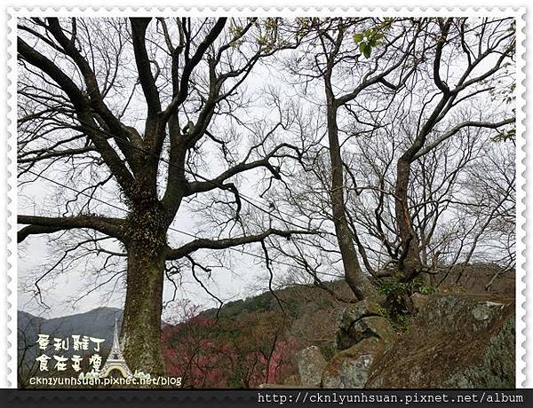 CIMG0449.JPG CIMG0449.JPG