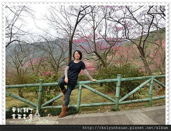 CIMG0450.JPG CIMG0450.JPG