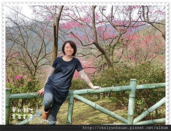 CIMG0451.JPG CIMG0451.JPG