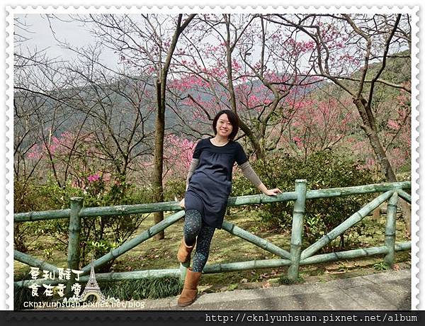 CIMG0452.JPG CIMG0452.JPG