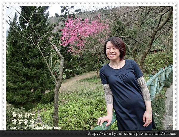 CIMG0455.JPG CIMG0455.JPG