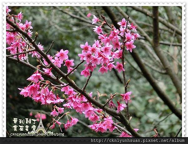 CIMG0458.JPG CIMG0458.JPG