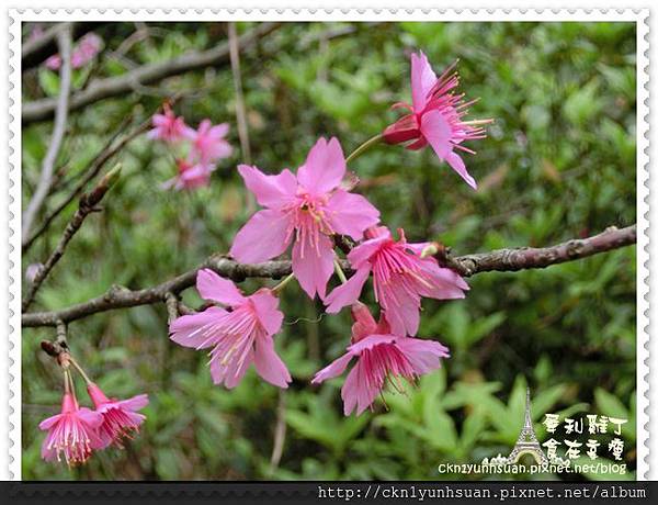 CIMG0460.JPG CIMG0460.JPG