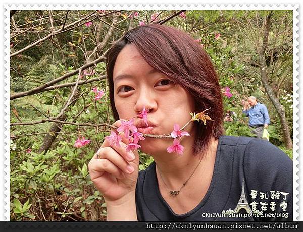 CIMG0461.JPG CIMG0461.JPG