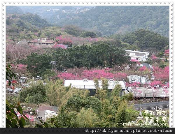 CIMG0462.JPG CIMG0462.JPG