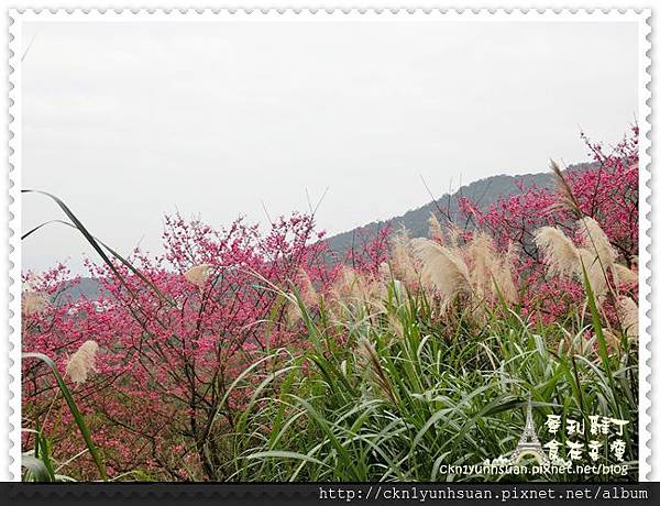 CIMG0468.JPG CIMG0468.JPG