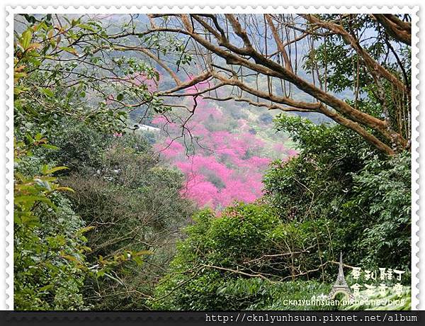 CIMG0474.JPG CIMG0474.JPG