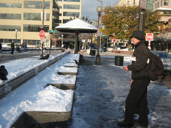 遇見好心餵鳥人士Dan
