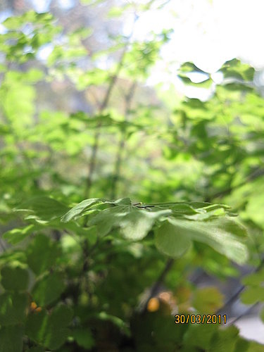 zrj00e_24XZUi6E1DvHH_w