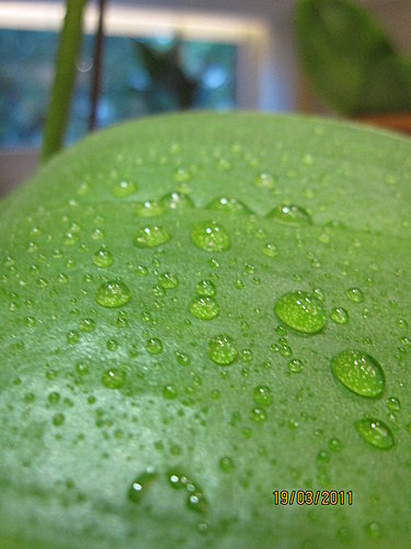 eKqHM6no.IAjH5tBjOhZwQ