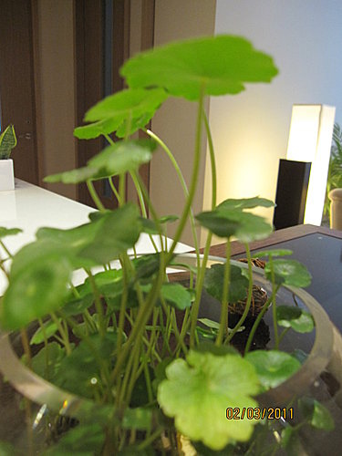 VKYcsAY7KqIfzNkWKaHJ.A