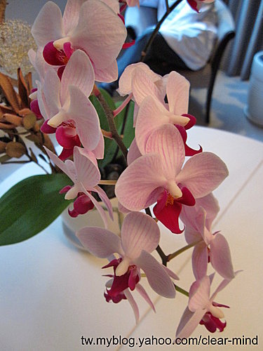 AT2HHeOJZG.gzq9H0NbwWw