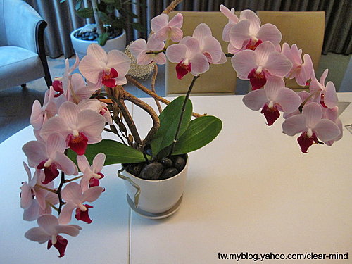 VC6uONto1X2tp_dcqUFJ3Q