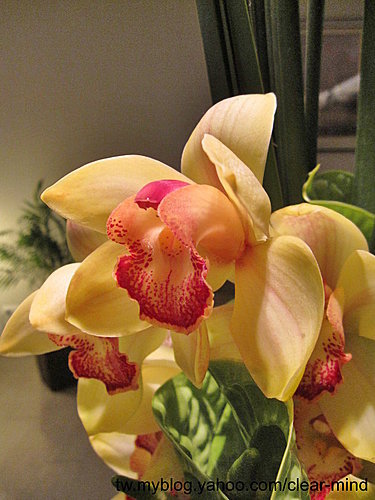 UCHNx1vo5PVT5Q1RNYivUA