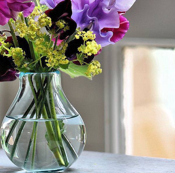 528649_415329438487130_1353796275_n