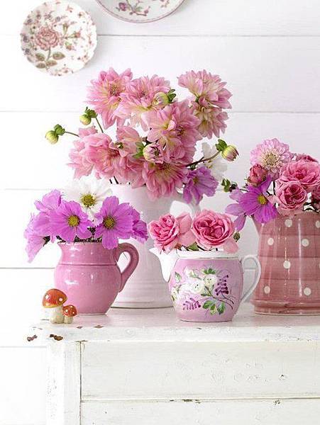 425117_356027371084004_1501374933_n (1)