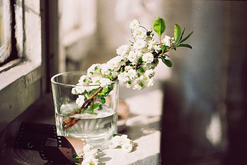 1484362_701340003219404_685437492_n