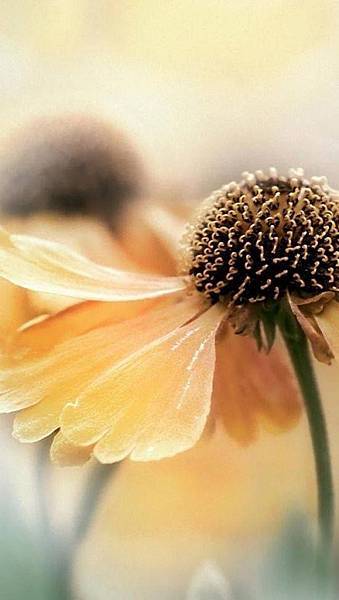 10648268_844805825539487_4591988575054107727_o