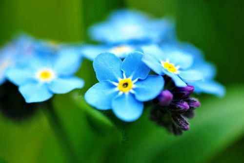 553355_576004492413032_2065905038_n