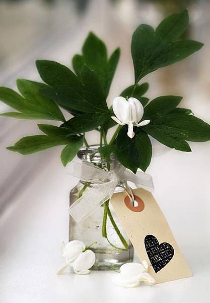 529232_400063933347014_1729114039_n