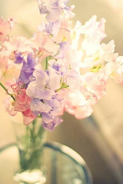 599794_448123961874344_1530495949_n 599794_448123961874344_1530495949_n