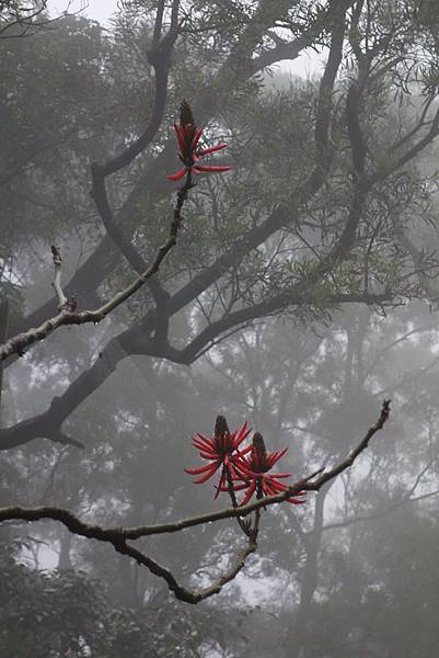 10661919_874891445875346_1207370492634352584_o 10661919_874891445875346_1207370492634352584_o