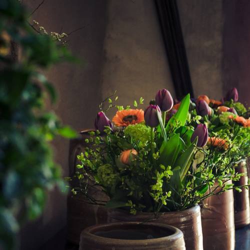 1463135_696950836991654_1133097044_n 1463135_696950836991654_1133097044_n