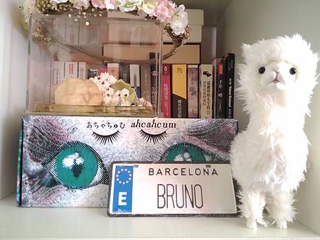 P_20140728_112722.jpg P_20140728_112722.jpg