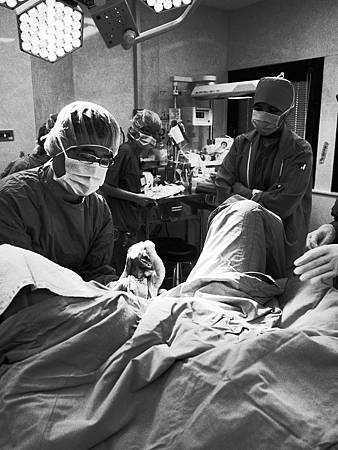 R9268384.JPG R9268384.JPG