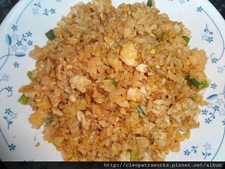 FriedRice00 FriedRice00