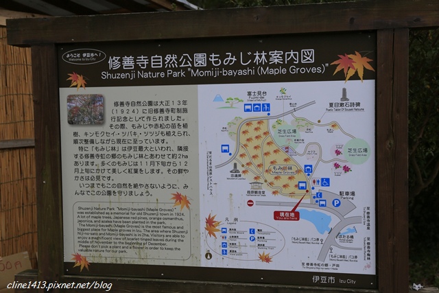 a49 a49