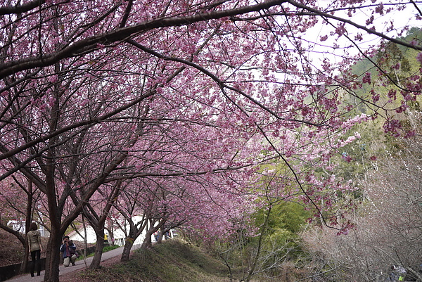 P1020172-fix.jpg P1020172-fix.jpg